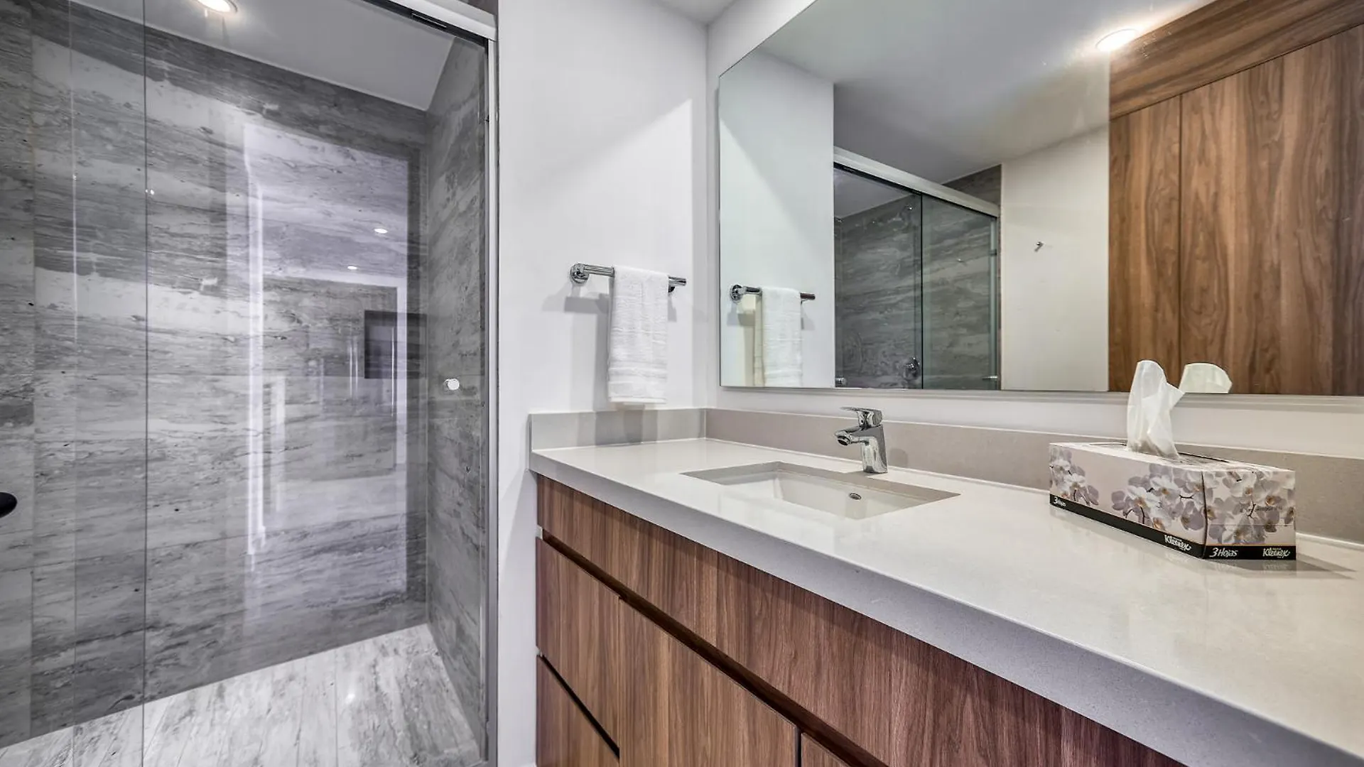 Oceanfront Apartment プエルトバラータ メキシコ